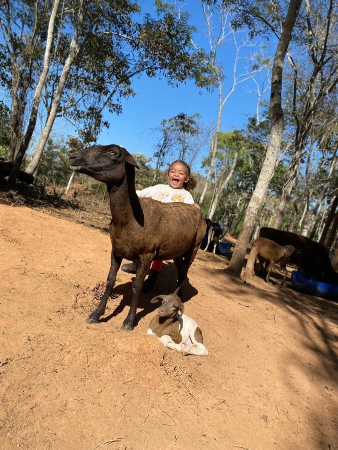 Simão Pereira Hotel Fazenda Minas Real المظهر الخارجي الصورة