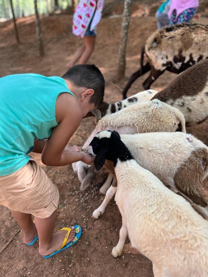 Simão Pereira Hotel Fazenda Minas Real المظهر الخارجي الصورة